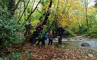 Guided Hikes and Walks